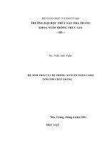 HỆ SINH THÁI của hệ THỐNG AO NUÔI THÂM CANH tôm THẺ CHÂN TRĂNG 