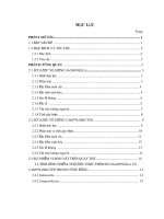 Khảo sát tỷ lệ vấy nhiễm Salmonella và Campylobacter trên quày thịt heo tại một số cơ sở  giết mổ và chợ sỉ trên địa bàn Thành phố Hồ Chí Minh