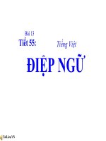 Bài giảng Ngữ văn 7 bài 13 Điệp ngữ 3