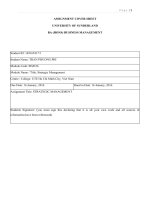 Báo cáo, phân tích, gợi ý chiến lược quản trị cho hệ thống chuỗi urban station