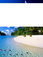 Bài giảng Ngữ văn 7 bài 13 Điệp ngữ 7