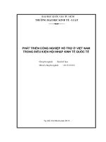 Phát triển công nghiệp hỗ trợ ở việt nam trong điều kiện hội nhập kinh tế quốc tế