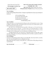 Đề thi tuyển sinh vào lớp 10 môn Ngữ văn (chuyên) năm học 2014-2015 trường THPT Chuyên Thái Nguyên