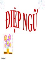 Bài giảng Ngữ văn 7 bài 13 Điệp ngữ 9