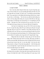 So sánh một số công thức sử dụng phân đạm đến sinh trưởng, phát triển và năng suất cây cải bắp KK cross trồng vụ đông  2010 tại xã tân dân, huyện an lão, hải phòng 