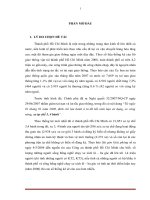 NGHỊ QUYẾT 32 VÀ KHẢ NĂNG ĐỔI NGHỀ CỦA NGƯỜI CHẠY XE TỰ CHẾ 3, 4 BÁNH