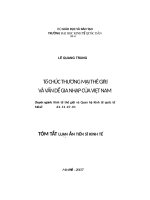 hực trạng chính sách và một số vấn đề đối với thuơng mại việt nam thời kỳ sau gia nhập WTO 