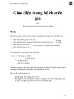 Giao diện trong hệ chuyên gia 