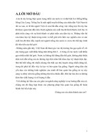 KỸ THUẬT TRỒNG lúa nước tại ĐỒNG BẰNG SÔNG cửu LONG 