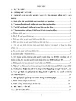 CƠ CHẾ GIẢI QUYẾT KHIẾU NẠI TỐ CÁO TRONG LĨNH VỰC LAO ĐỘNG