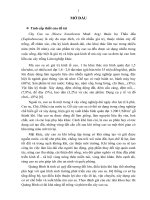 Đánh giá tình hình phát triển cao su tiểu điền tại huyện Bố Trạch, tỉnh Quảng Bình