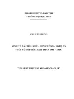 KINH TẾ XÃ CHÂU KHÊ – CON CUÔNG - NGHỆ AN THỜI KỲ ĐỔI MỚI ( GIAI ĐỌAN 1986 – 2013 )