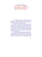 Hàng hóa xứ Quảng qua thương cảng Hội An dưới thời chúa Nguyễn