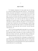 NGHIÊN cứu đặc điểm lâm SàNG, hình ảnh nội SOI của VA QUá PHáT và ĐáNH GIá kết QUả PHẫU THUậT nạo VA BằNG DAO PLASMA gây mê 