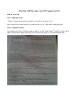 Đề thi thử THPTQG môn Văn THPT Nguyễn Du 2015