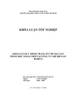 KHẢO SÁT QUY TRÌNH TRANG SỨC BỀ MẶT SẢNPHẨM MỘC NGOÀI TRỜI TẠI CÔNG TY CHẾ BIẾN GỖRUBICO