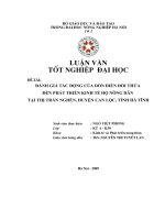 ĐÁNH GIÁ TÁC ĐỘNG CỦA DỒN ĐIỀN ĐỔI THỬA ĐẾN PHÁT TRIỂN KINH TẾ HỘ NÔNG DÂN TẠI THỊ TRẤN NGHÈN, HUYỆN CAN LỘC, TỈNH HÀ TĨNH