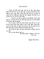 Điều tra tình hình sản xuấtlúa tại xã Đại Áng - Thanh Trì - Hà Nội