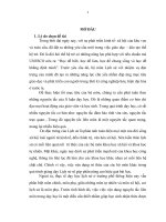Chiến dịch lịch sử Điện Biên Phủ (1954