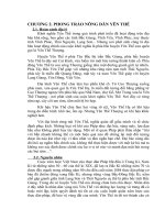 PHONG CHÀO KHỞI NGHĨA YÊN THẾ