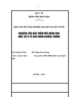 Nghiên cứu đặc điểm mô bệnh học một số u tế bào mầm buồng trứng 