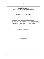 Nghiên cứu các yếu tố liên quan, đặc điểm lâm SàNG và kết quả điều TRị VIÊM DA TIếP xúc DO côn trùng 