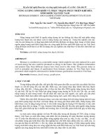 NĂNG LƯỢNG SINH KHỐI và THỰC TRẠNG PHÁT TRIỂN KHÍ hóa SINH KHỐI tại VIỆT NAM 