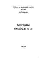 Tài liệu ông thi Cơ sở văn hóa việt nam