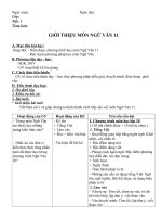 Giáo án tự chọn 11 bộ đầy đủ