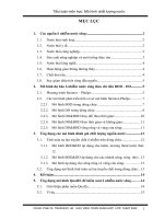 Tiểu luận môn học mô hình chất lượng nước