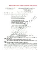 Đề thi thử THPTQG môn Văn 2015 THPT chuyên Nguyễn Huệ lần 4