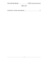 Công tác tổ chức tài chính  kế toán tại công ty cổ phần sông đà 11