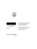 Rèn luyện học sinh lớp 11 kĩ năng giải phương trình l­ượng giác 