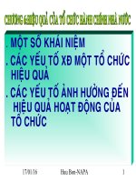 hiệu quả của tổ chức hành chính nhà nước