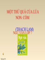 Bài giảng ngữ văn 7 bài 14 một thứ quà của lúa non cốm 2 