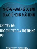 NHỮNG NGUYÊN lý cơ bản của CHỦ NGHĨA mác LÊNIN học THUYẾT GIÁ TRỊ THẶNG dư 