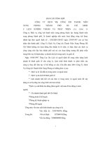 Báo cáo thực tập tổng hợp công ty dịch vụ công ích thanh niên xung phong 