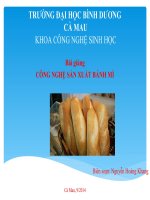 Bài giảng chuyên ngành công nghệ thực phẩm công nghệ chế biến bánh mì