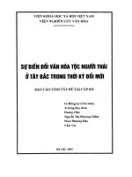 Sự biến đổi văn hóa tộc người thái ở tây bắc trong thời kỳ đổi mới 