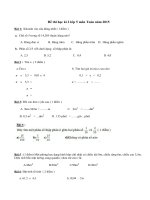 Đề thi học kì 2 lớp 5 môn Toán năm 2015 - P2