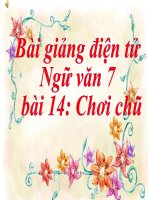 Bài giảng ngữ văn 7 bài 14 chơi chữ 11 