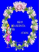 Bài giảng ngữ văn 7 bài 15 mùa xuân của tôi 6 