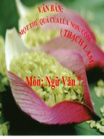 Bài giảng ngữ văn 7 bài 14 một thứ quà của lúa non cốm 10 