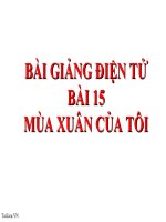 Bài giảng ngữ văn 7 bài 15 mùa xuân của tôi 3 