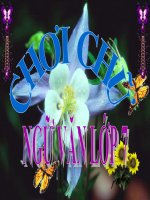 Bài giảng ngữ văn 7 bài 14 chơi chữ 4 