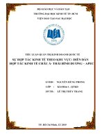 TIỂU LUẬN QUẢN TRỊ KINH DOANH QUỐC tế sự hợp tác KINH tế THEO KHU vực DIỄN đàn hợp tác KINH tế CHÂU á  THÁI BÌNH DƯƠNG – APEC