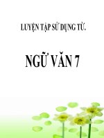 Bài giảng ngữ văn 7 bài 15 luyện tập sử dụng từ 3 