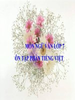 Bài giảng ngữ văn 7 bài 16 ôn tập phần tiếng việt 6 
