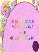 Bài giảng ngữ văn 7 bài 15 mùa xuân của tôi 4 