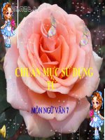 Bài giảng ngữ văn 7 bài 14 chuẩn mực sử dụng từ 9 